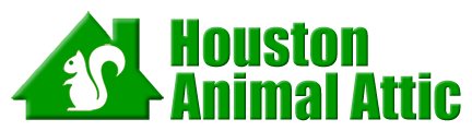 Houston Animal Attic